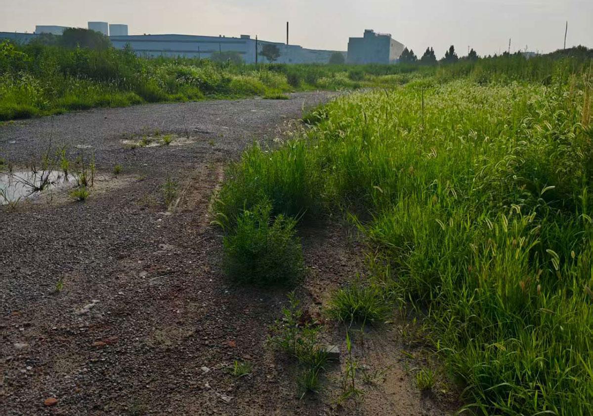 武清经济开发区200亩工业用地出售